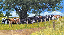 Paul Hooker nz rural artwork, cows